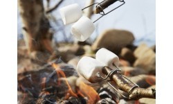 Вилка для приготовления пищи Light My Fire Grandpa's FireFork Bio, зелёная и розовая