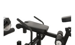 Newton Fitness Black Series BLK-60 Multi Functional Leg Extension