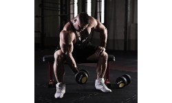 HG PRO RUBBER DUMBBELL HMS - 1 kg