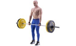 F4433 LIFTING STRAPS HMS