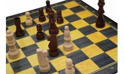 Шахматы Philos Standart 29,5x29,5 см