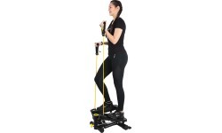 Twist steperis inSPORTline Legro