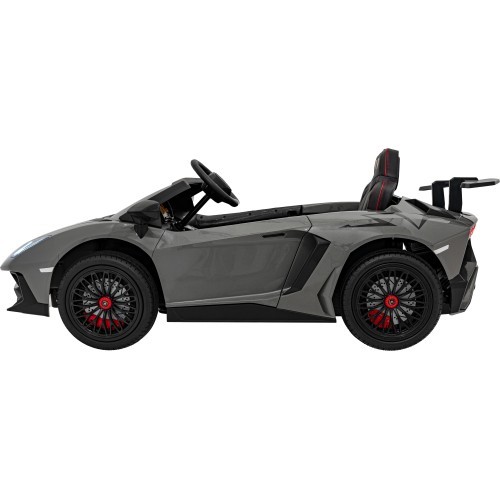 Lamborghini Aventador SV STRONG vehicle Grey