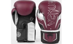 Boksa cimdi Venum Elite Evo – bordo/sudraba