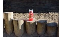 SIGG Viva Kids One pudele 0,5 l, zirgi
