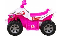 Vehicle Quad THE FASTEST Pink