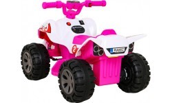 Vehicle Quad THE FASTEST Pink