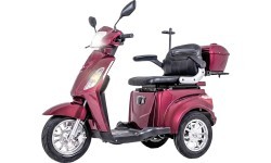Trīsriteņu elektriskais skrejritenis inSPORTline Zorica Lion -  Burgundy 