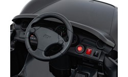 RUF CTR3 Black Vehicle