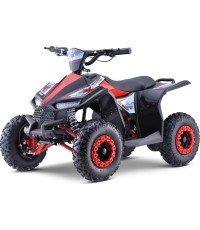 Quad E-STAR vehicle Red