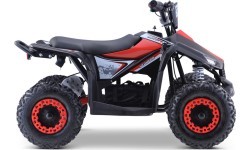 Quad E-STAR vehicle Red