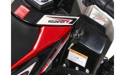 Quad E-STAR vehicle Red