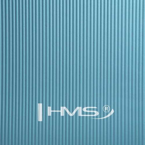 YM07 YOGA MAT HMS (mint)
