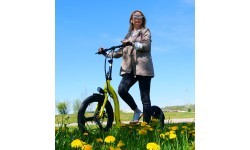 Электросамокат Beaster Scooter VOYAGER, 350 Вт, 36 В, 10 Ач, тёмно-серый
