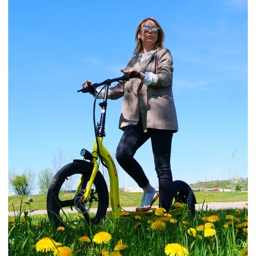 Электросамокат Beaster Scooter VOYAGER, 350 Вт, 36 В, 10 Ач, жёлтый