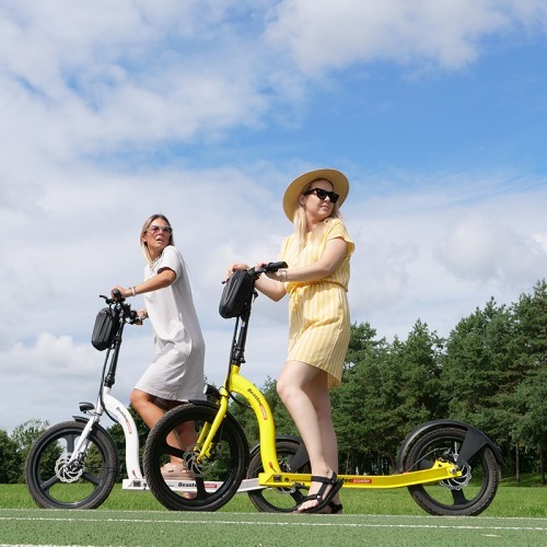 Beaster Scooter VOYAGER Electric Scooter, 350 W, 36 V, 10 Ah, Yellow