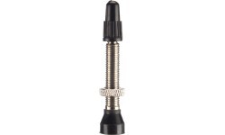 BONIN valves for tubeless tires, 40 mm (silver)