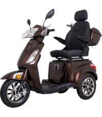 Elektrický tříkolový vozík inSPORTline Zorica Deluxe (součást sady) - Brown
