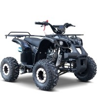 Kvadricikls WILDPEAK 110cc, melns