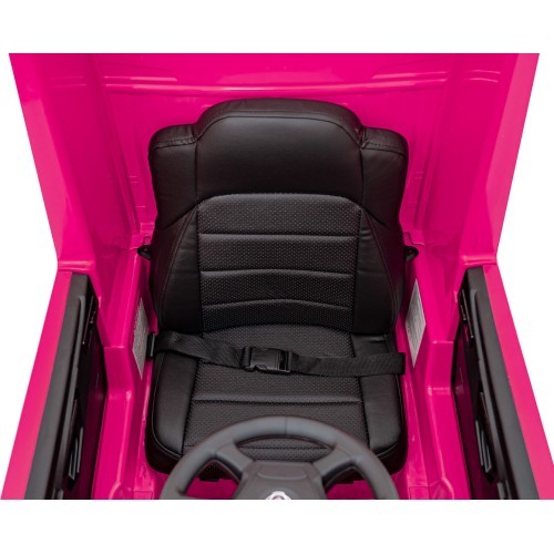 Scania R-SERIE vehicle Pink