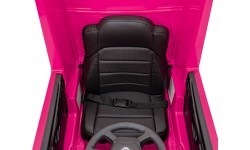 Scania R-SERIE vehicle Pink