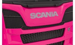 Scania R-SERIE vehicle Pink