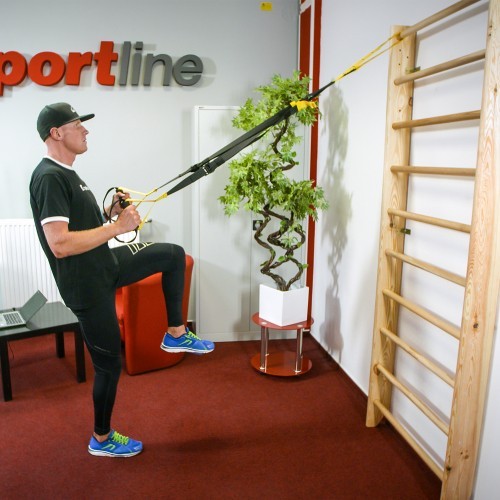 Wall Bars inSPORTline Steadyline 215 x 80 cm