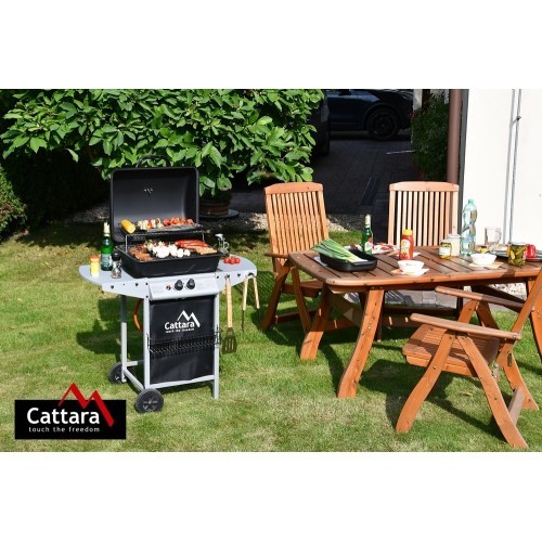 Мобильный гриль Cattara Party Point