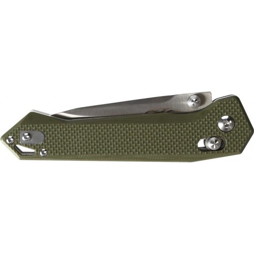 Ganzo Firebird FB7651-GR folding knife