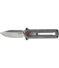 Saliekams nazis Kershaw Cybernet 2046