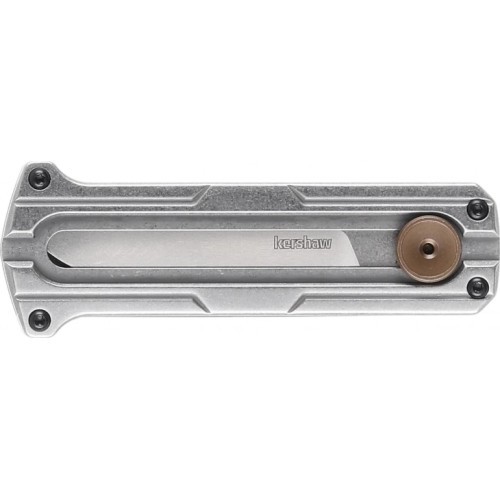 Saliekams nazis Kershaw Cybernet 2046