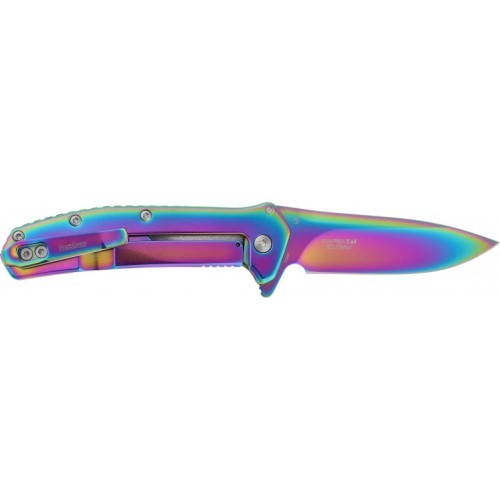 Saliekams nazis Kershaw Outcome 2044RBW