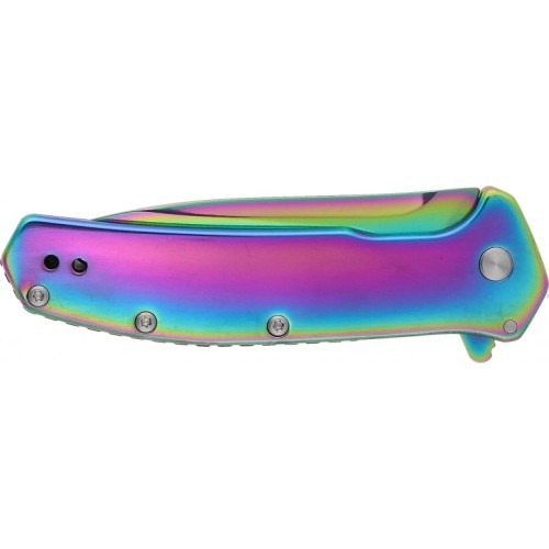 Saliekams nazis Kershaw Outcome 2044RBW