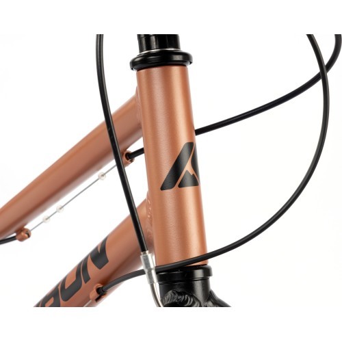 Velosipēds Karbon Superlight 20 copper