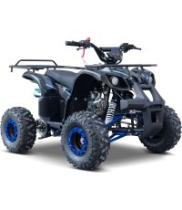 Kvadricikls WILDPEAK 110cc, zils, benzīna