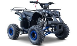 WILDPEAK 110cc Blue Combustion Quad Bike