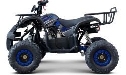 WILDPEAK 110cc Blue Combustion Quad Bike