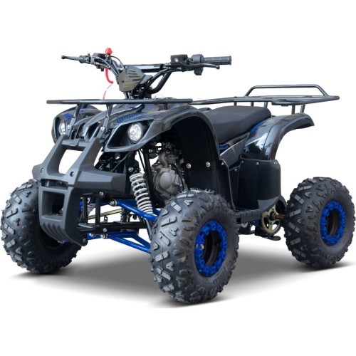 Kvadricikls WILDPEAK 110cc, zils, benzīna