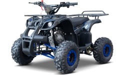 Квадроцикл WILDPEAK 110cc, синий, бензиновый