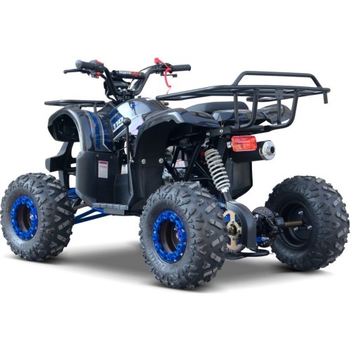 Kvadricikls WILDPEAK 110cc, zils, benzīna
