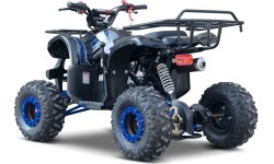 Kvadricikls WILDPEAK 110cc, zils, benzīna