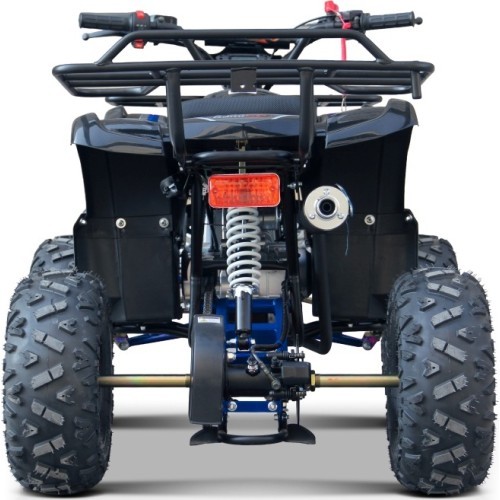 WILDPEAK 110cc Blue Combustion Quad Bike