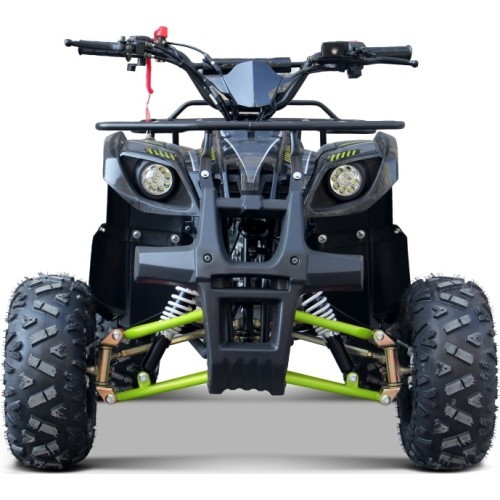 WILDPEAK 110cc Green Gasoline Quad Bike