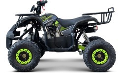 Квадроцикл WILDPEAK 110cc бензиновый, зелёный
