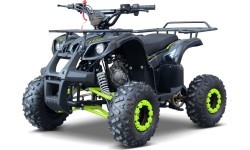 WILDPEAK 110cc Green Gasoline Quad Bike