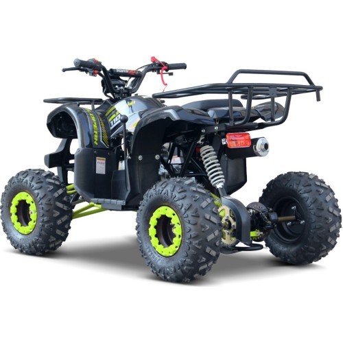 WILDPEAK 110cc Green Gasoline Quad Bike