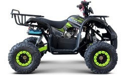WILDPEAK 110cc Green Gasoline Quad Bike