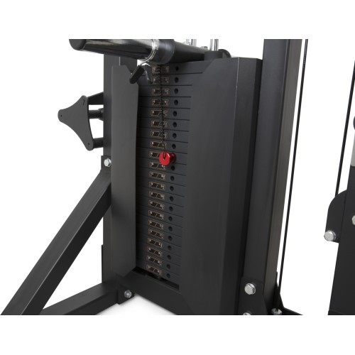 Muguras vilkšanas trenažieris Pivot Fitness 600LRM