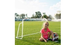 BR8150 GOAL WITH NET NILS