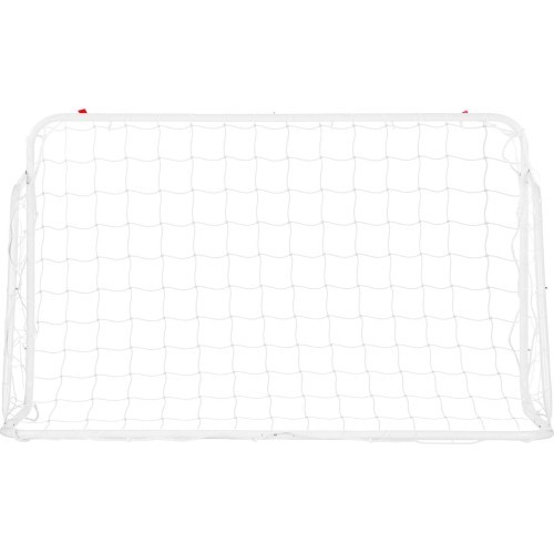 BR8150 GOAL WITH NET NILS